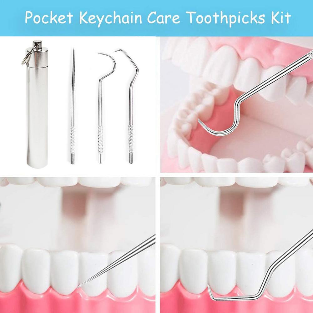 Portable Stainless Steel Toothpick Set Metal Flossing Tools With Portable Toothpick Holder Outdoor Household Travel Seal Storage