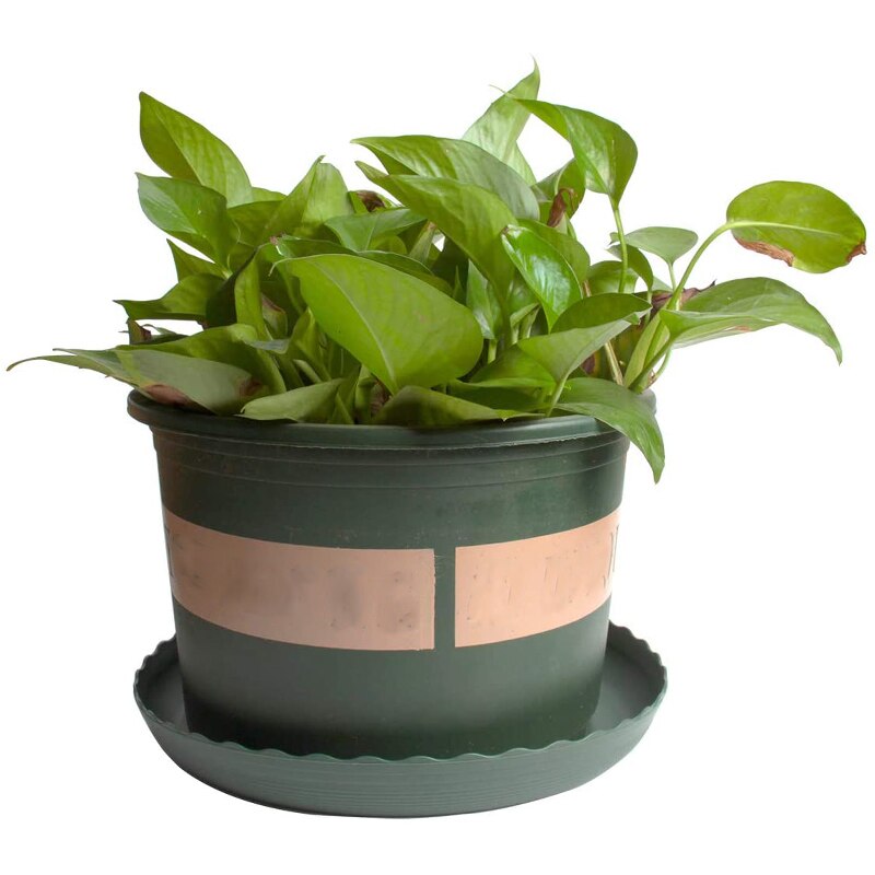 Plant Schotel 10Pc Grote-Plastic Plant Lekbak Voor Indoor Outdoor Planten-Ronde Groene 10Inch Bloem plant Lade