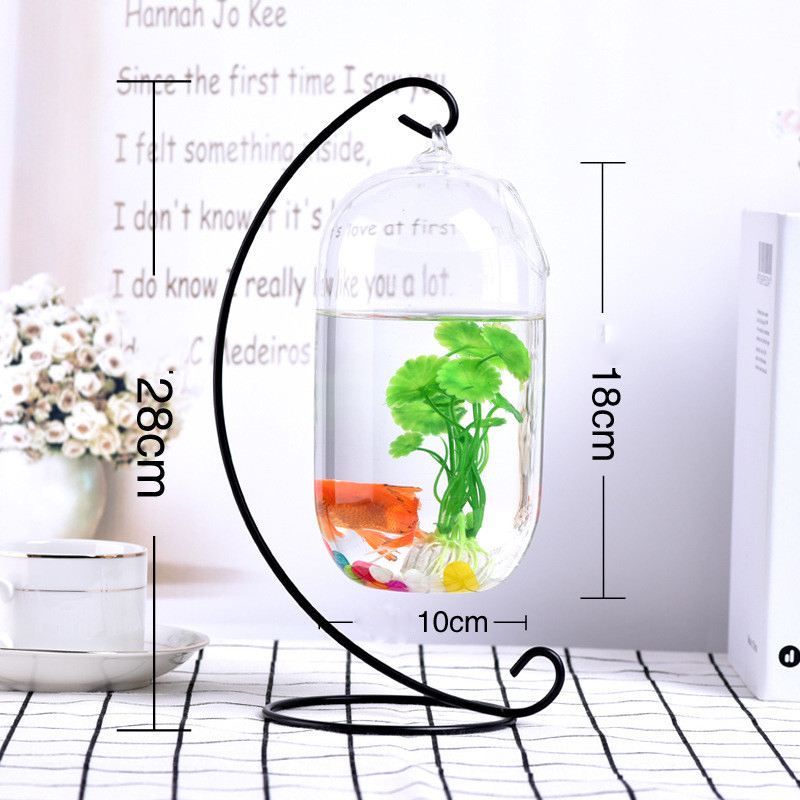 Ecosphère-boule de poisson rouge suspendue | Aquarium, bol de réservoir de poisson, Vase de plante de fleur, bol de Table pour petits accessoires fournitures pour animaux de compagnie