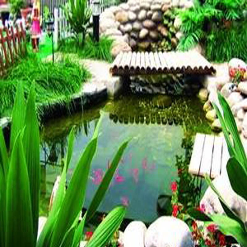 Timer Automatic Fish Feeder Pond Aquarium Fish Tank LCD Quantitative Feeding Machine Food Dispenser Fish Feeder Tools