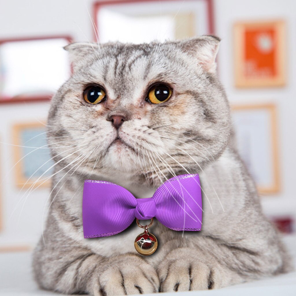 Klassisk farverig kæledyrshund kat sløjfe kæledyrssløjfe hundeslips dekoration krave kæledyrsartikler tilbehør /2.5