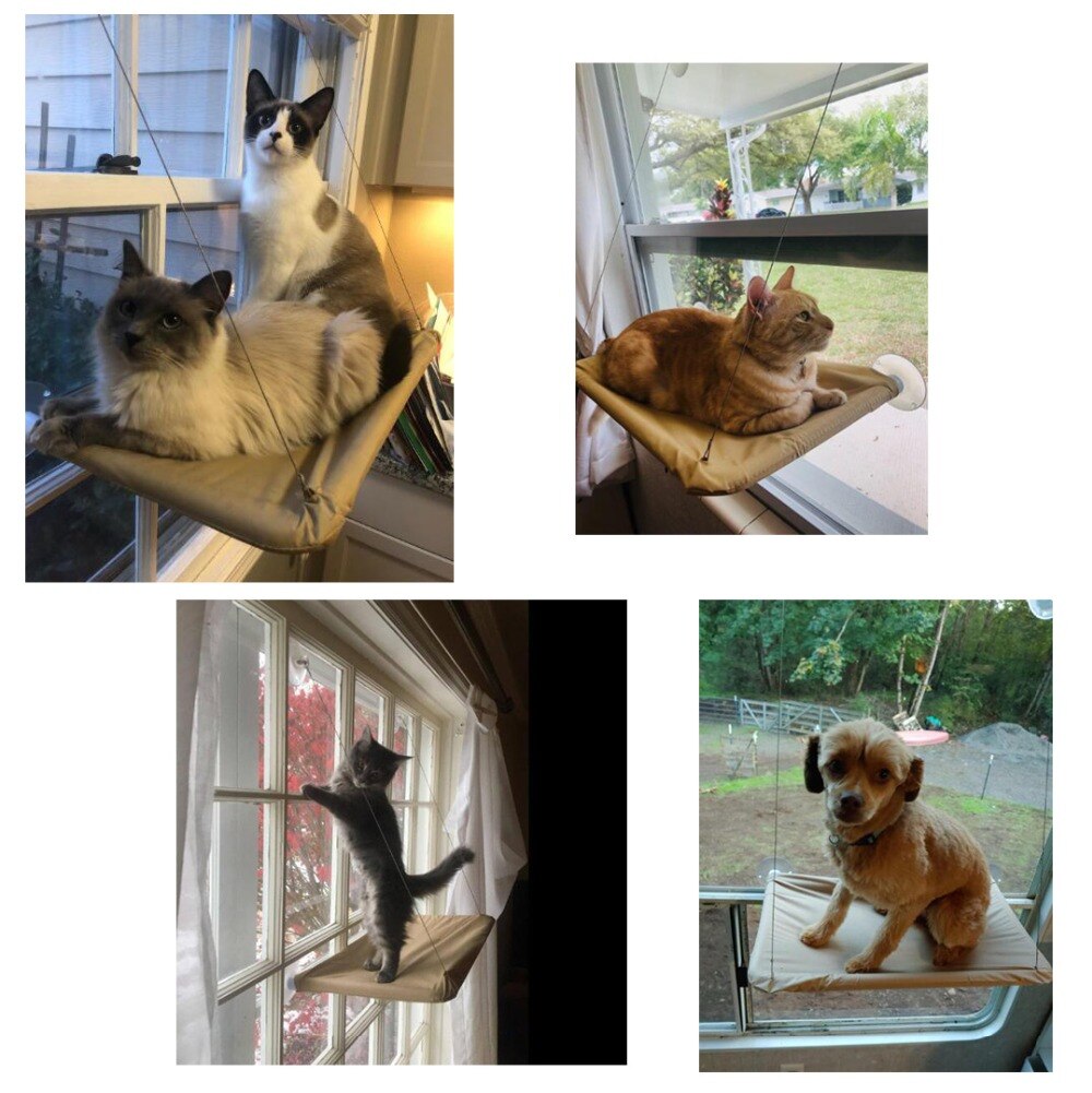 Hamac pour animaux de compagnie, lit-balançoire suspendu, siège de repos, perchoir, fenêtre, confortable, 20kg