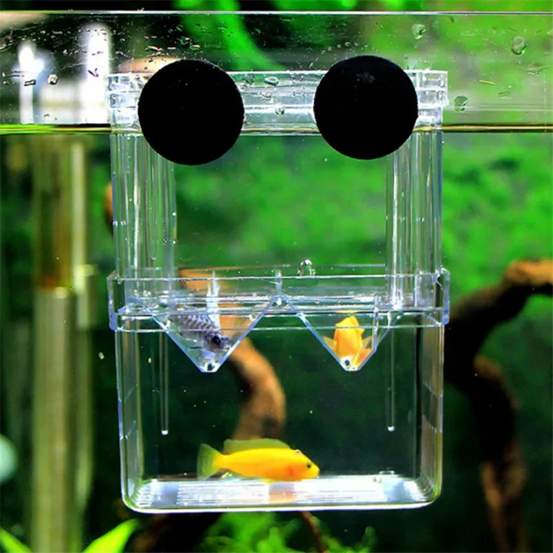 3 maten Dubbeldeks Clear Fish Fokken Isolatie Box Aquarium Fokker Aquarium Uitkomen Incubator Fish House Home acuario