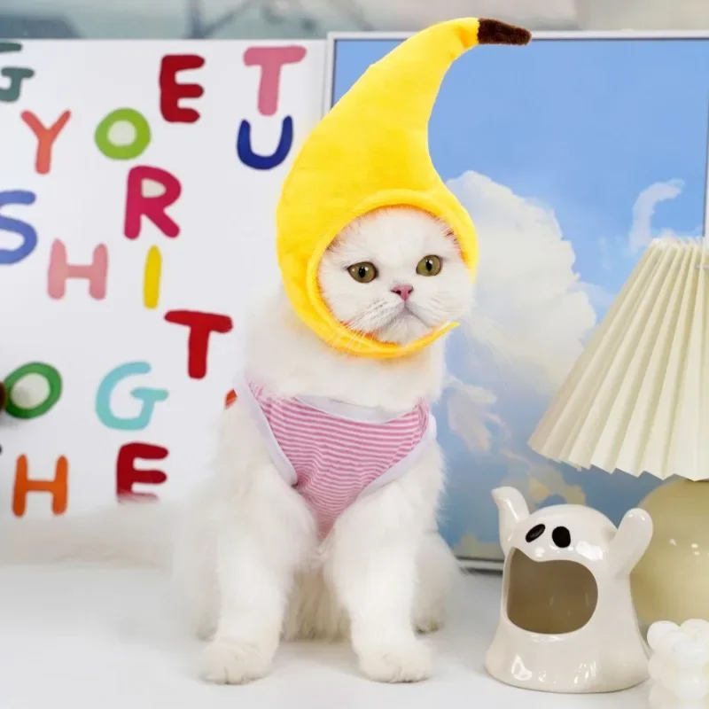 Kjæledyr katt lue hund hodeplagg morsom bjørn ører lue varme korte plysjører kjæledyr utstyr fest jul cosplay små kjæledyr tilbehør