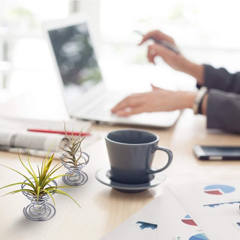 Luchtplantenstandaard, luchtplantenbak, tillandsiahouder, roestvrijstalen plantendisplayrekken, luchtananasbasis, 12 stuks
