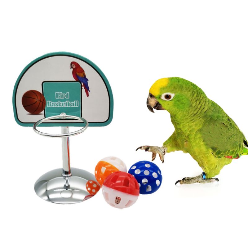 Accesorios de aro de baloncesto para mascotas, juego de juguetes para masticar, bolas, campanas, periquito, loro, rompecabezas