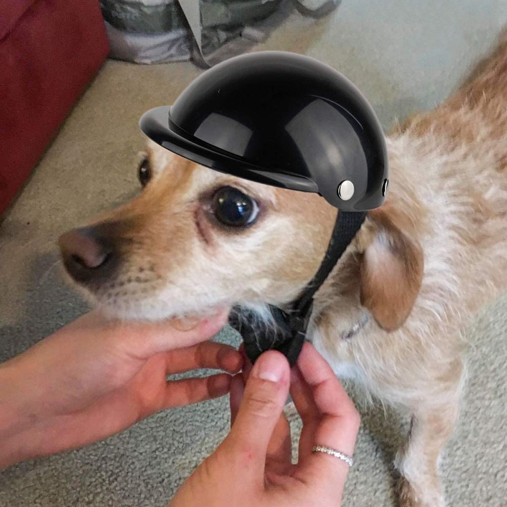 2022 Style Cute Pet Helmet Pet Protect Riding Cap Motorcycle Bike Doggie Helmet Cat Hat Pet Safety Suit Supplies