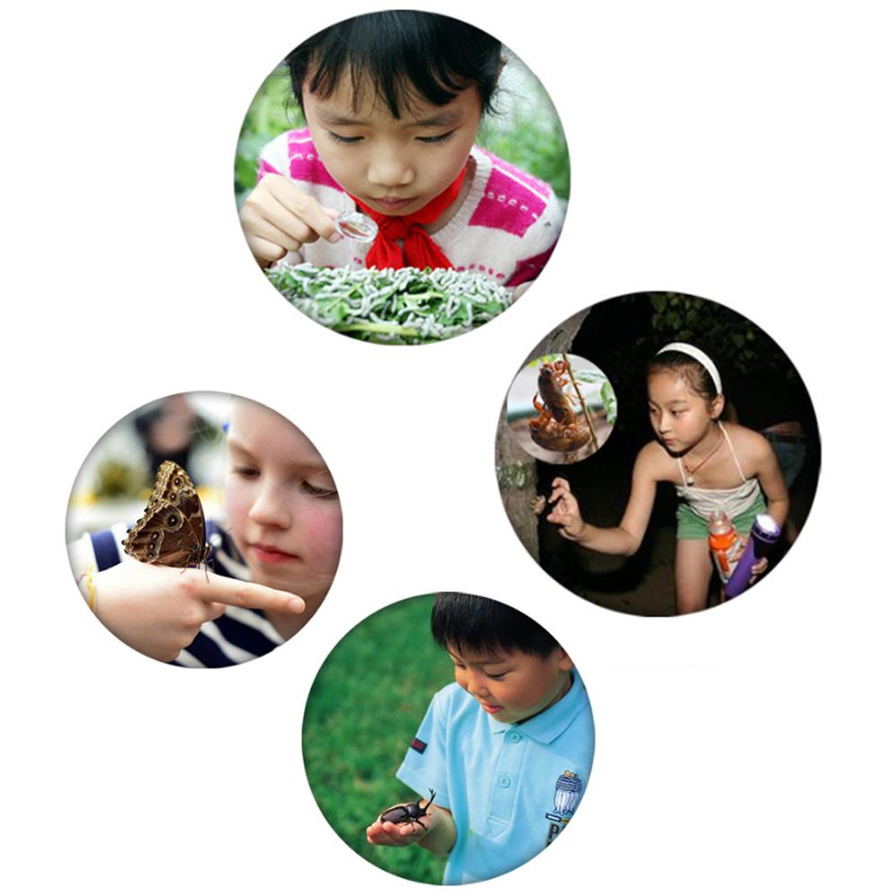 Biology Explore Observation Box Child Magnifying Portable Insect Box Collection Butterfly Cicada Dragonfly Exploration Cage