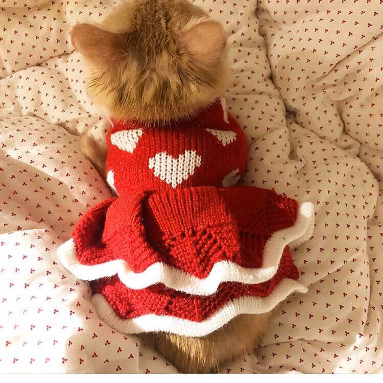 Nueva falda para mascotas, ropa de princesa para pastel de gato, vestido de perro, suéter, corazón rojo, vestido de princesa para gato: XXL