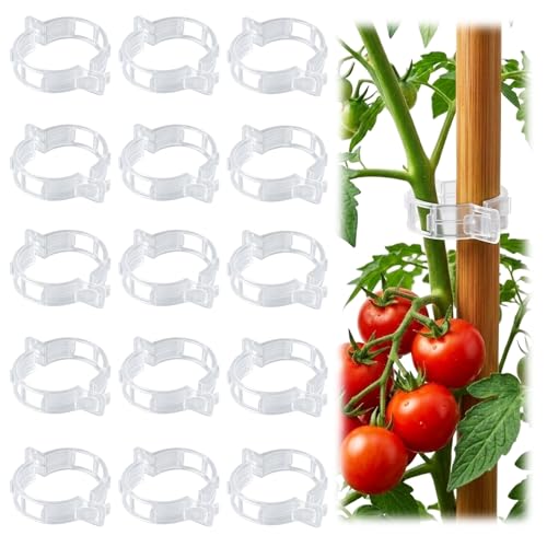 600/10x Plant Support Clips Climbing Plants Fixing Clips Grape and Vine Vegetables Buckle Prevent Tomatoes From Falling Off: 4XL / WHITE