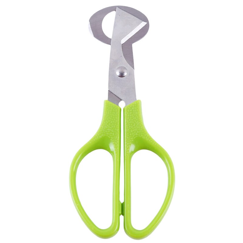 Green Stainless Steel Bird Egg Scissors Kitchen Knife Cooking Egg Accessories