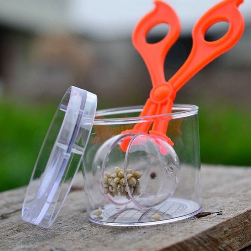 Kid Plant Insect Studie Tool Natuur Exploratie Speelgoed Kit Schaar Klem Pincet Speelgoed