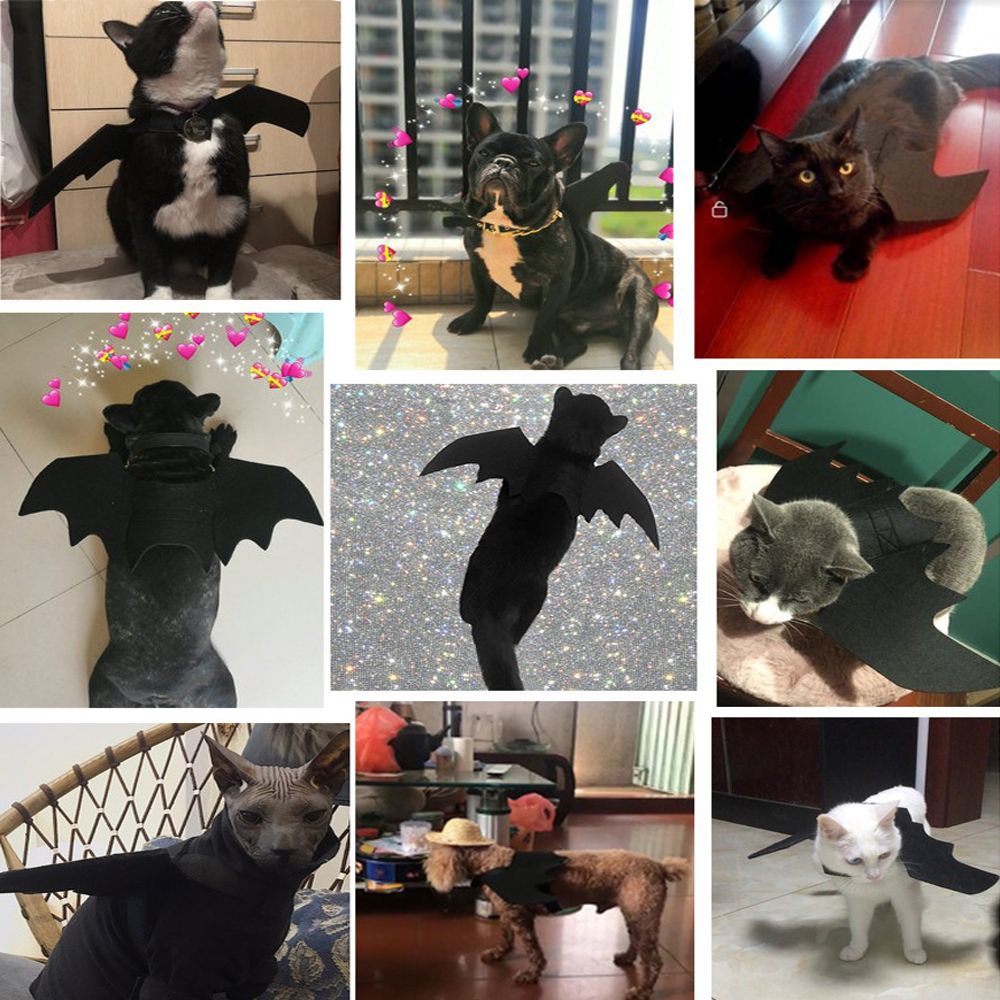 Kattetøj flagermus vinger sjovt hund kostume kunstig vinge kæledyr cosplay rekvisit halloween jul katte kostume kæledyr produkter