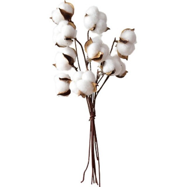 Ins Nordic Vaas Decoratie Thuis Vazen Hoogwaardige Acryl Vazen Bloem Woonkamer Bruiloft Decoratie Moderne Vazen: Dry cotton flower