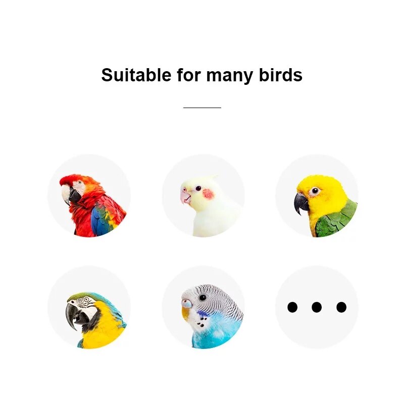 Mini cesta de baloncesto para loros, juguetes de aves, rompecabezas de inteligencia para morder, juguetes suministros para mascotas