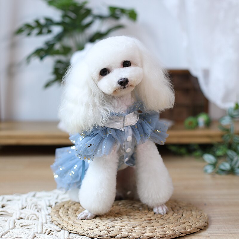 Ropa hecha a mano para perro, vestido azul de tul con puntos dorados, falda de encaje Sexy, tutú para gatos domésticos, traje de caniche maltés Yorkie,