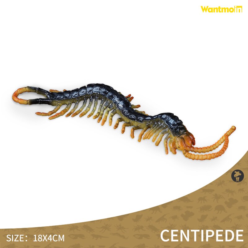 World-famous Dangerous Poisonous Wild Animal with Honey badger spider mosquito monitor lizard scorpion centipede snake Halloween: centipede