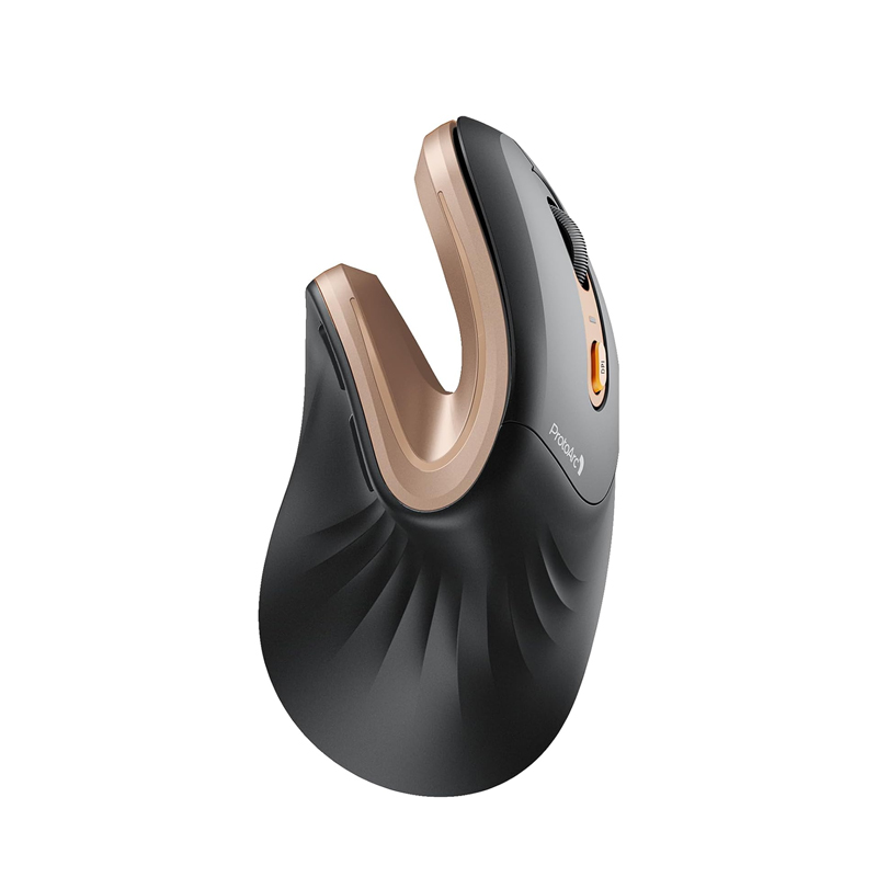 ProtoArc Ergonomische Maus em11 NL BT Wiederaufladbare kabellose vertikale Maus 2,4 GHz optische Mäbenutzen für Fenster, Mac OS