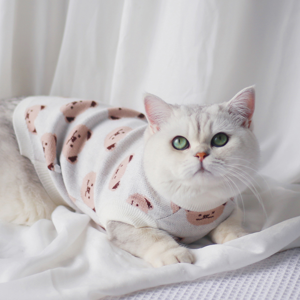 Warm Kat Gebreide Trui Voor Katten Jumper Puppy Pug Jas Kleding Trui Gebreide Overhemd Kitten Kleding Huisdier Hond Kat Kleding