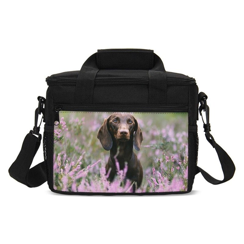 Animal Print Dachshund Sausage Dog Kawaii Kids Cooler Bag Picnic Outside Insulated Box Women Portable Lancheira Thermo Thermal: SCBU019001GZA