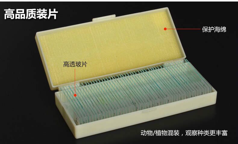 Biology 10/25/50/100/200 Prepared Glass Microscope Specimen Slides School and Laboratory English Label Teaching Samples