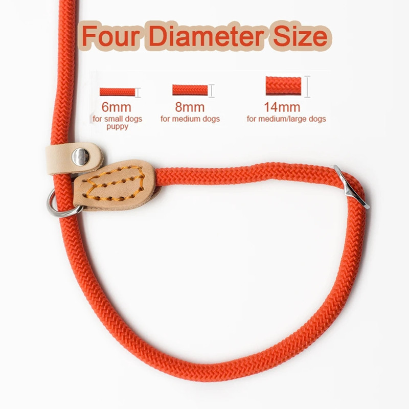 Laisse en Nylon pour chien 8/14mm, corde tressée, robuste, réglable, accessoire d'entraînement pour animaux de compagnie, pour petits et grands chiots