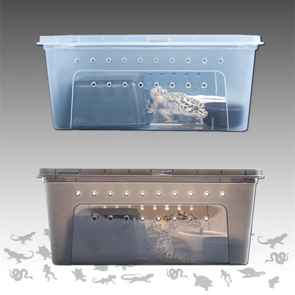 45# Plastic Frosted Reptile Feeding Box Lizard Spider Hatching Rearing Container Pet Supplies Feeding Box