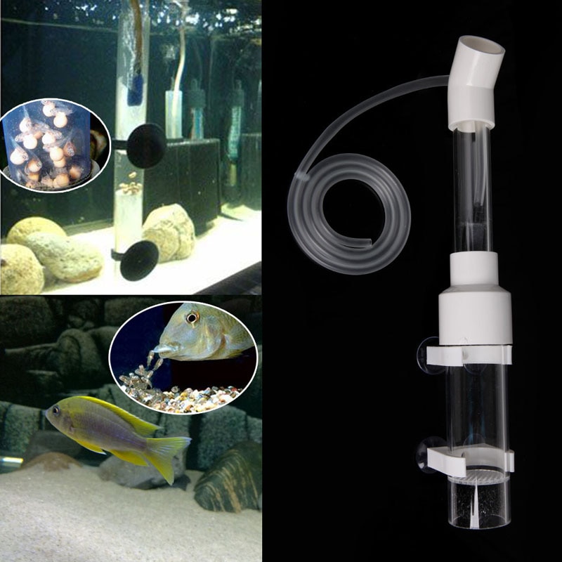 Incubadora de vasos de Acuario, incubadora de peces, eggss, en su lugar, Boca de incubación para el hogar
