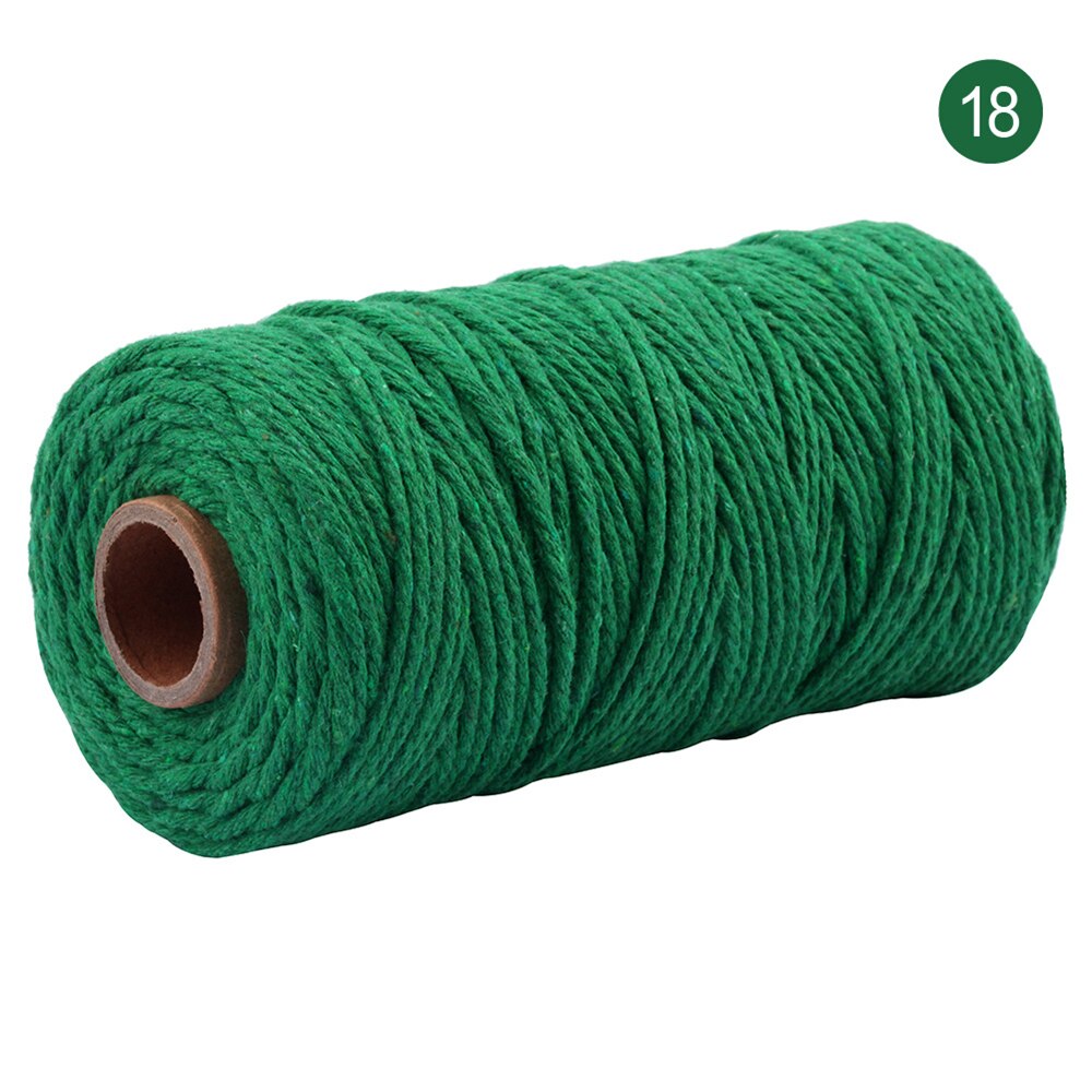 3mm 100%  katoenen koord kleurrijk koord touw gedraaid knutsel macramé touw veelkleurig katoen linnen touw huishoudtextiel 100m: T18
