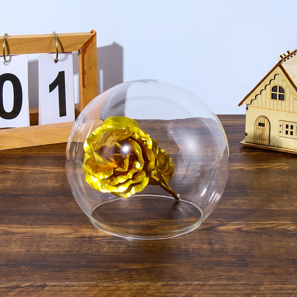 Spherical Glass Cloche Jar Display Stand Cover Terrarium Bottle with Wooden Base Acrylic Dust Cover Display Box Flower Box Home