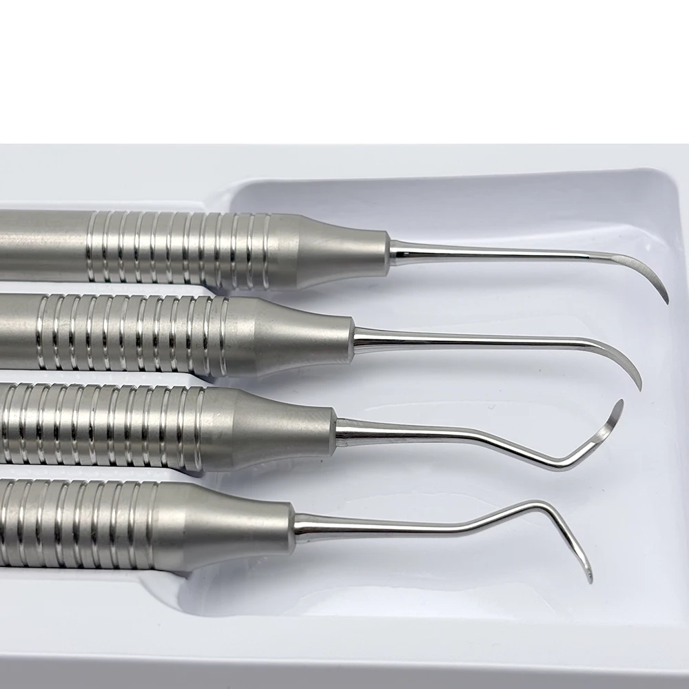 4Pcs/set Dental Tooth Scaler Kit Dental Double-Ended Teeth Cleaning Tool Stainless Steel Dentistry Instrument Tools
