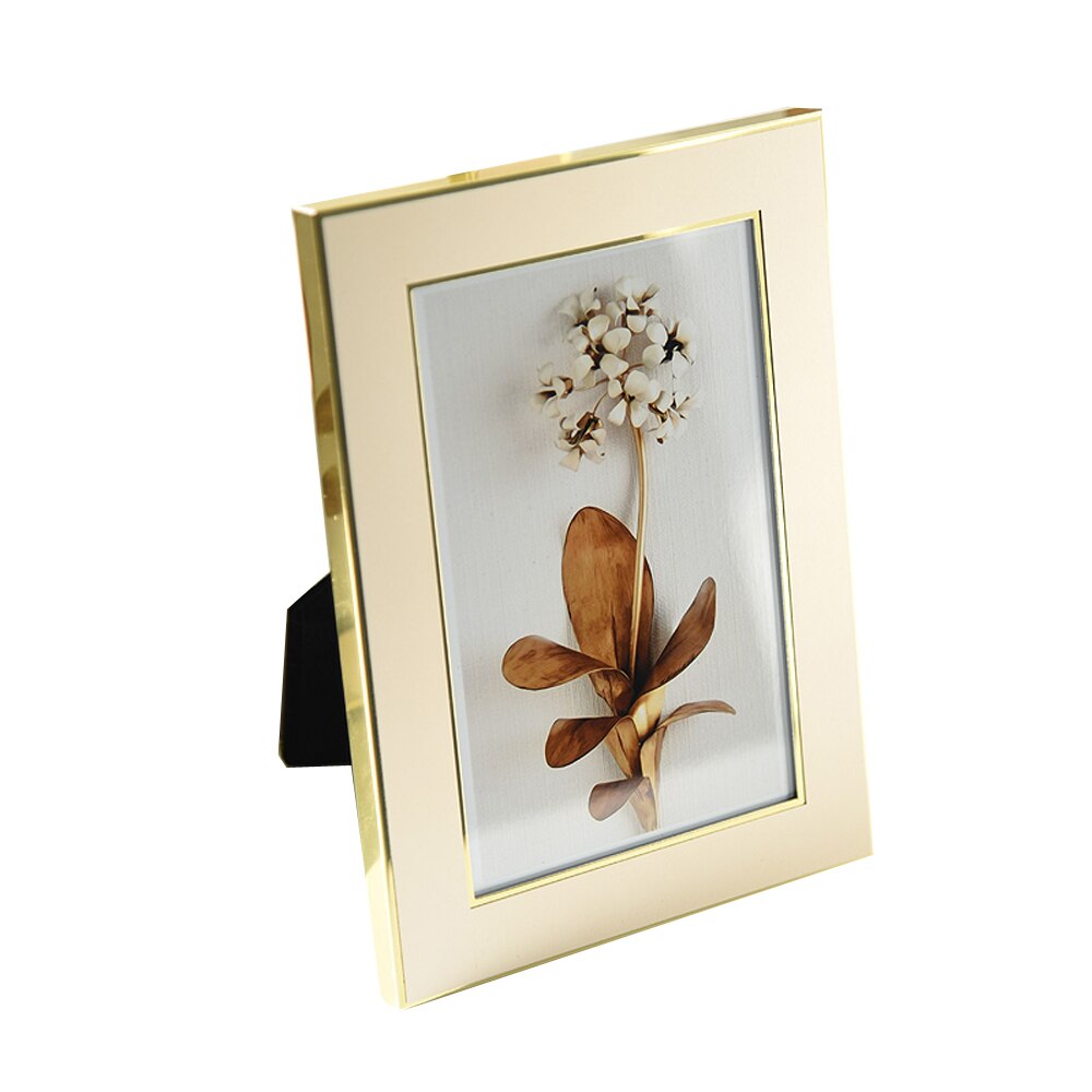 Modern Style Metal Photo Frame Picture Displays for or Home Decoration MPF118