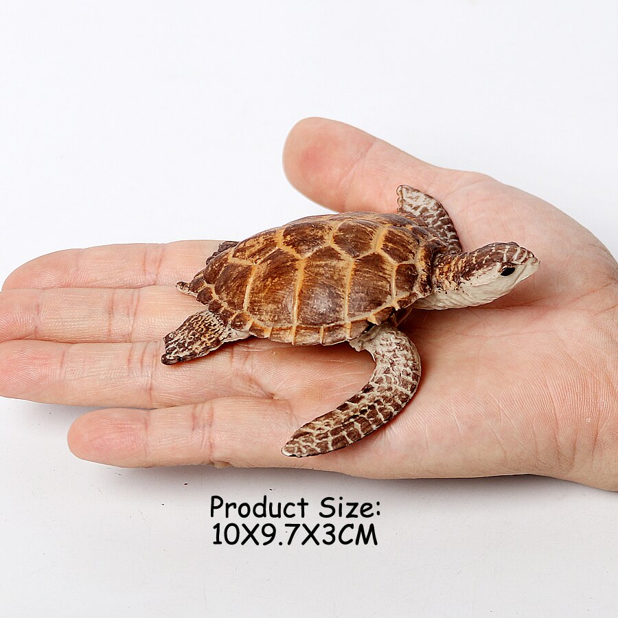 Realistic Sea Animals Figurines Orca Squid Sharks Dolphin Turtle Sailfish Octopus Figures Miniature Education Toys for Kids: light green
