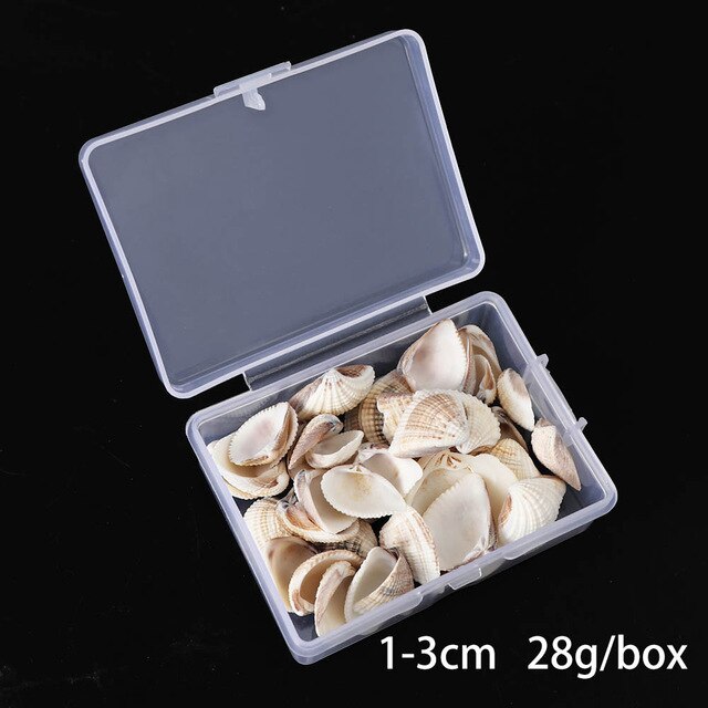 100 PCS Boxed Natural Conch Shells Mini Conch Corn Screw Wall Decoration DIY Aquarium Landscape Seashells Jewelry DIY Craft: Light Green