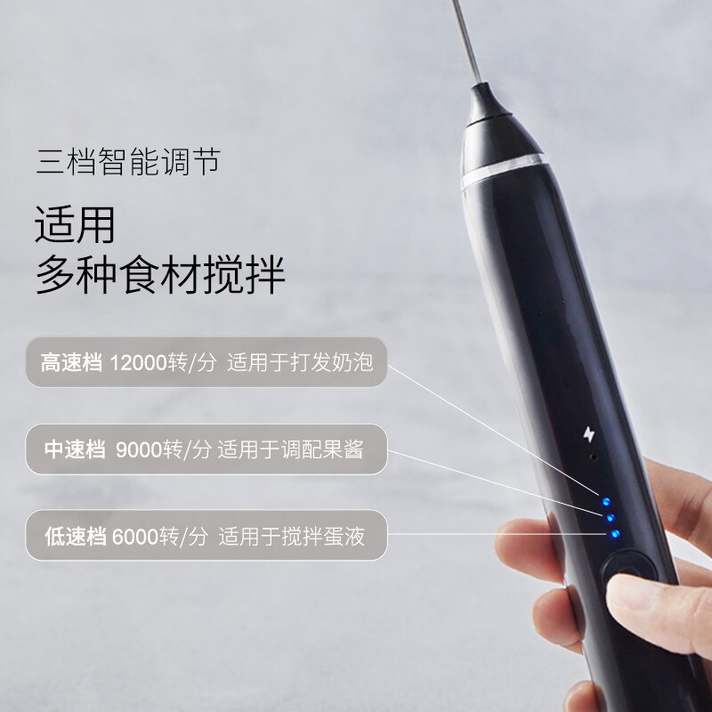 Twin Electric Milk Bubble Machine Household Mini Foam Beater