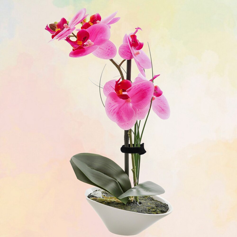 Fastening Cable Ties Durable Material Multi-purpose Black Multifunctional Reusable For Garden Nylon And Polyester 10pcs Strap