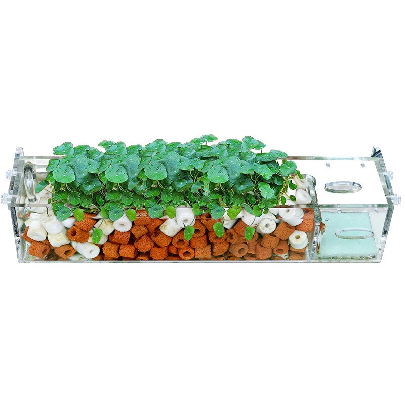 Filtre externe suspendu pour aquarium, équipement de filtration pour plantes et poissons