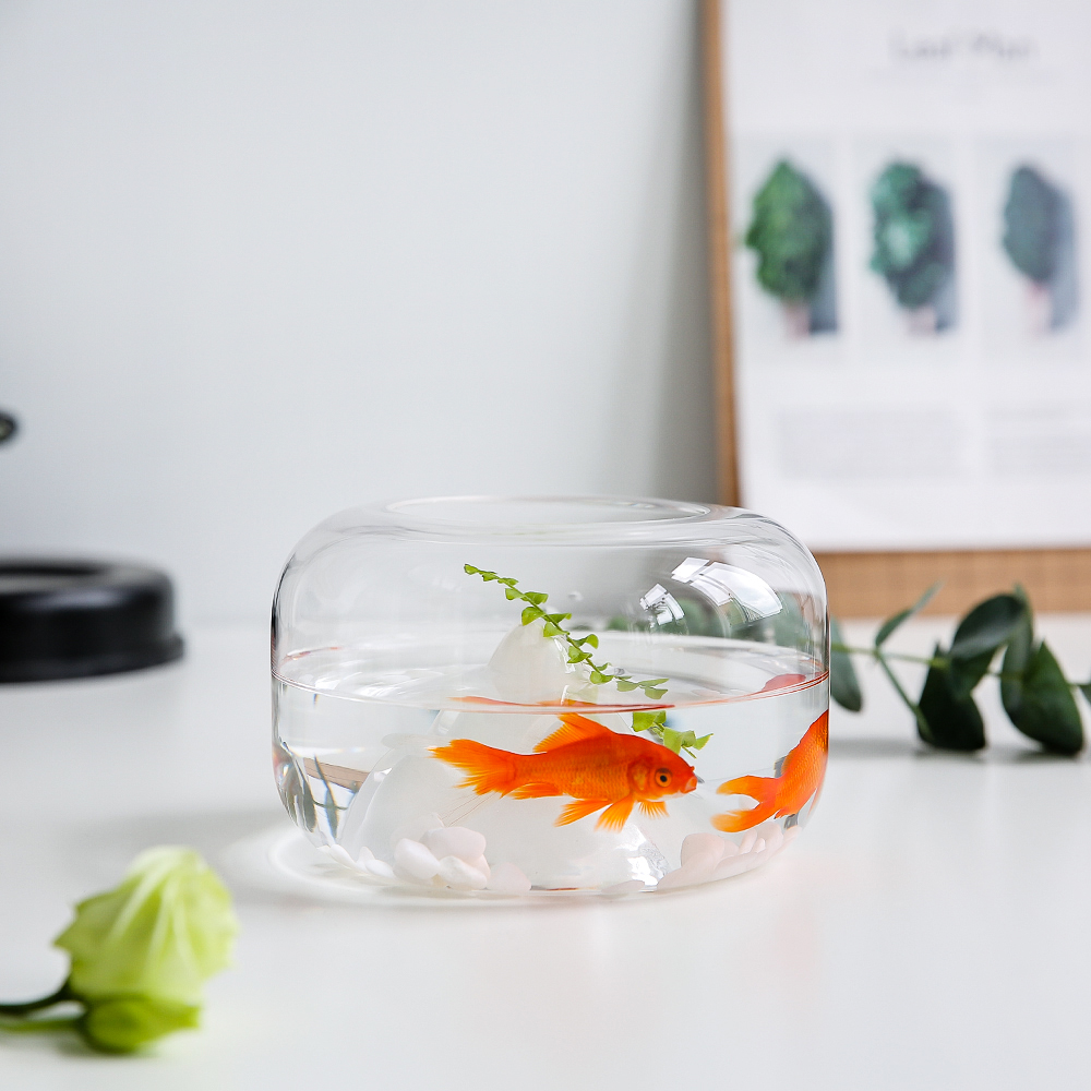 Japanischen stil transparent Glas Schnee Berg Fisch Panzer Schreibtisch Hydrokultur Vase Mikro Landschaft Dekorative Blume