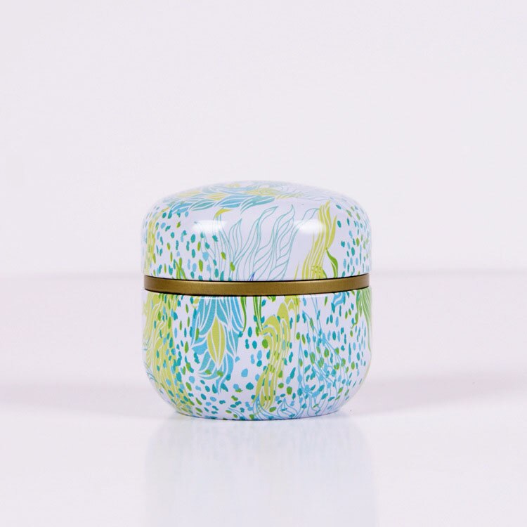 Tea Tin Box General Tinplate Household Sealed Tea Packaging Box Carrying Small Tin Cans for Japanese Scented Tea: Style 4