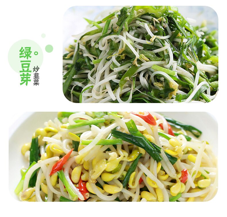 Electric Bean Sprouts Machine 2 Layers 3 Layers Full Automatic Large Capacity Thermostat Green Seeds Plant Growing Machine