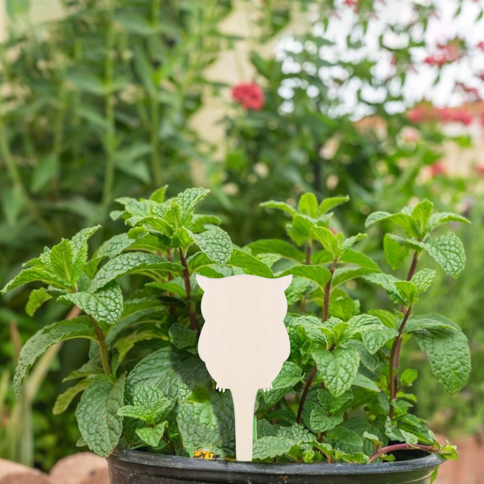 Letrero de madera para plantas, etiqueta decorativa para jardín de hadas, puede escribir en maceta, 10 piezas,