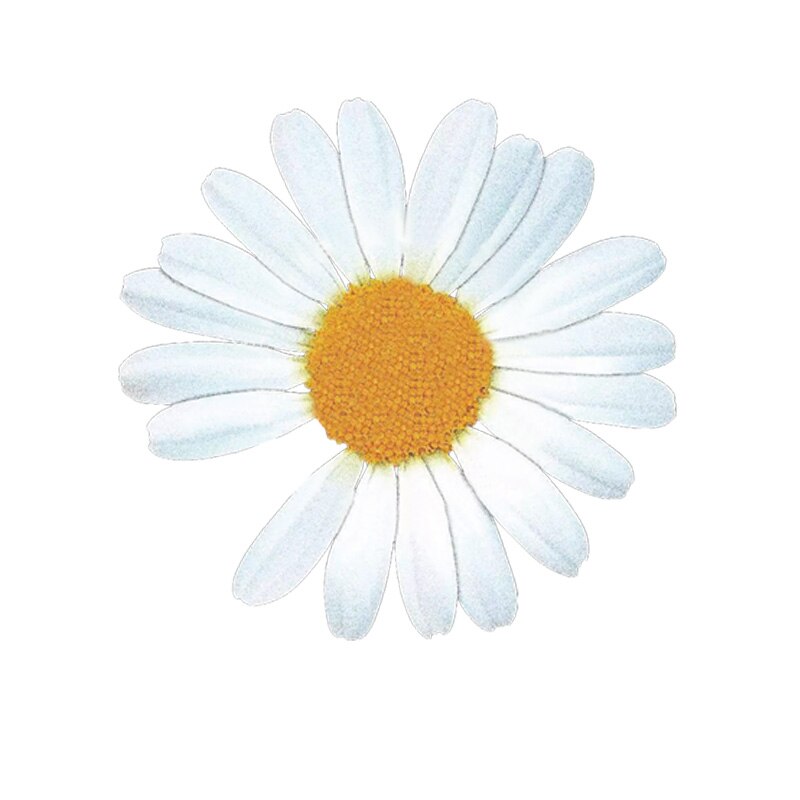 Parches de margaritas pequeñas para ropa, conjunto de transferencia de calor para camisetas, adhesivo decorativo de flores