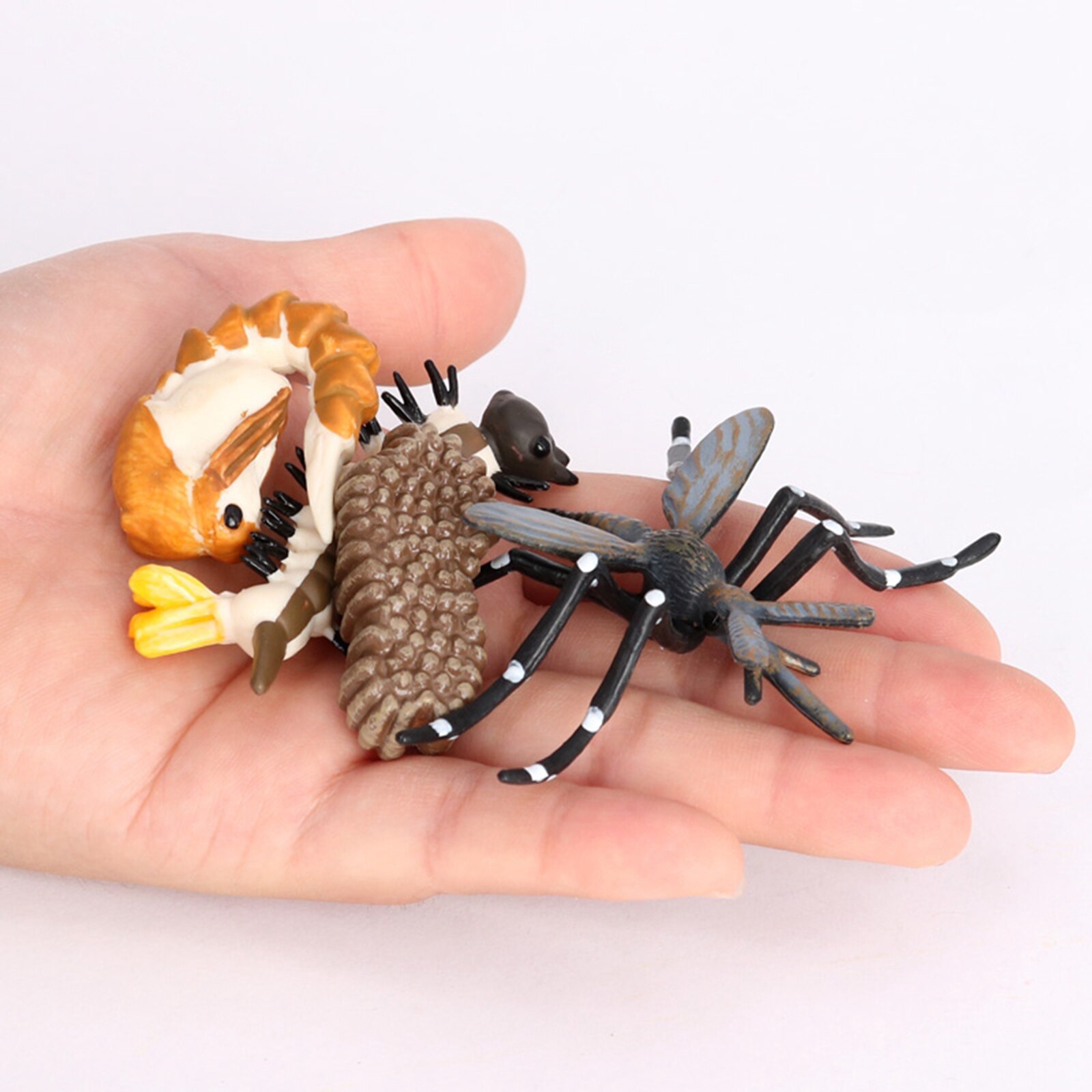 Insect Mosquito Lore Life Cycle - 4 Pcs Insect Figure Shows Life of Lady Bug
