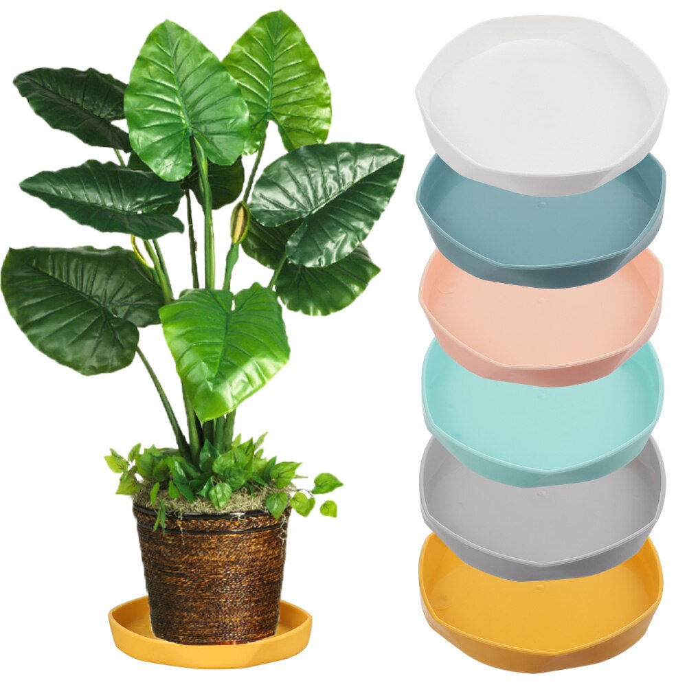 Soucoupe Pour Bonsai 16 Cm Rectangulaire | Leroy Merlin