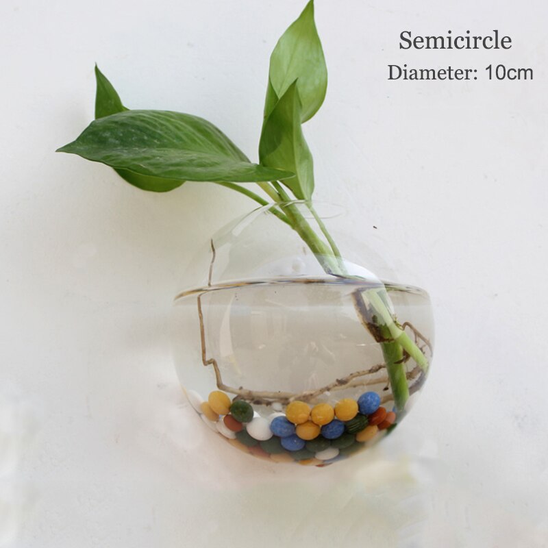 Vase à Fleurs en Verre Suspendu au Mur, à la , Terrarium Mural, Aquarium, Conteneur, Pots de Décoration de Jardin, pour la Maison: 10cm
