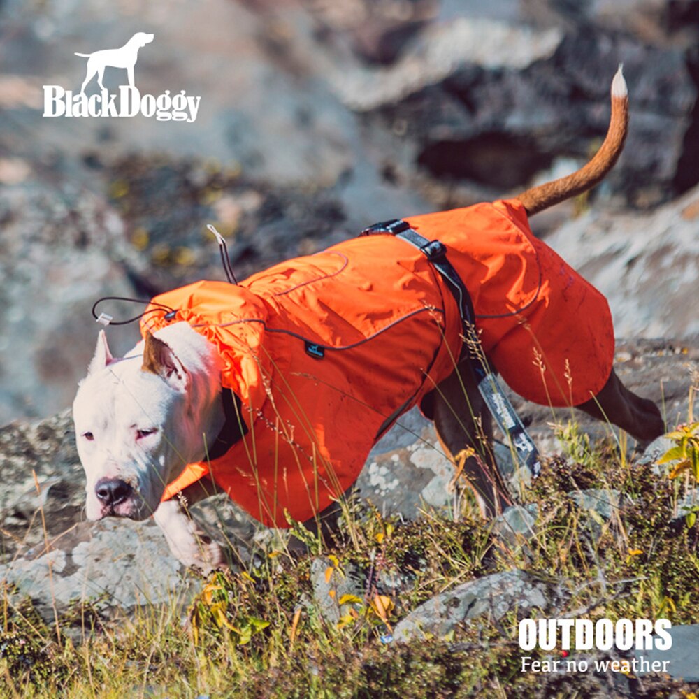 Ropas impermeables para perro impermeable para mascotas al aire libre deporte reflexivo PU para grandes perros, Labrador abrigo ropa para mascotas ropa . Exclusivo.