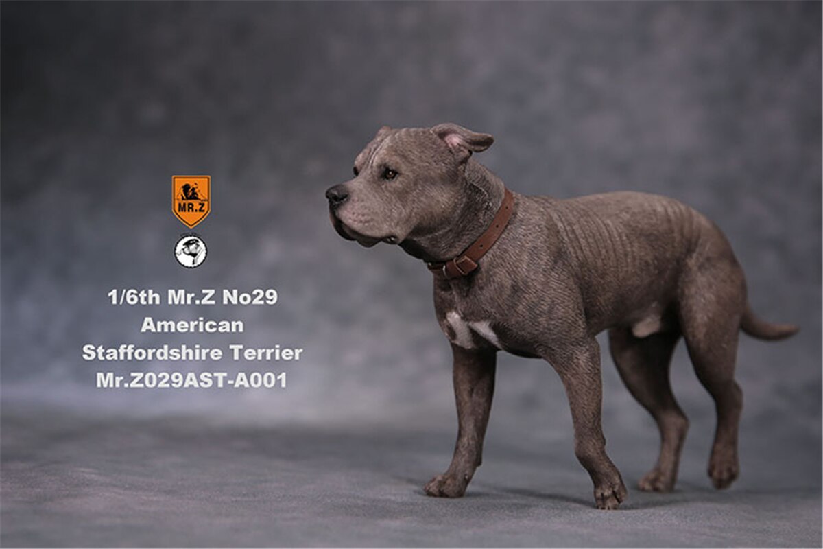 Mr.Z Studio 1:6 American Staffordshire Terrier Dog Pet Healing Figure Canidae Animal Model Toy Collector Desktop Decor Adult: A-001