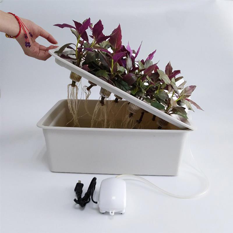 Bac de culture hydroponique pour plantes | 1 ensemble de 6 trous, Site de culture hydroponique pour plantes légumes, Kit de culture de semis de légumes, boîte de jardin d'intérieur