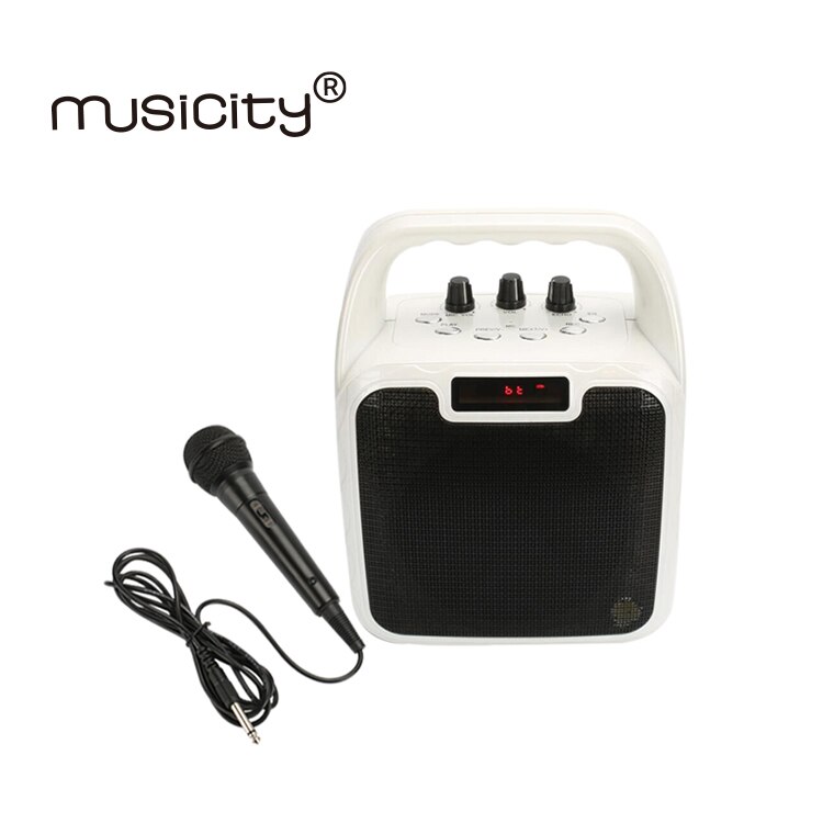 Karaoke Speaker - 10W Output Power - Bluetooth 5.0+EDR - Portable Audio with Wired Microphone