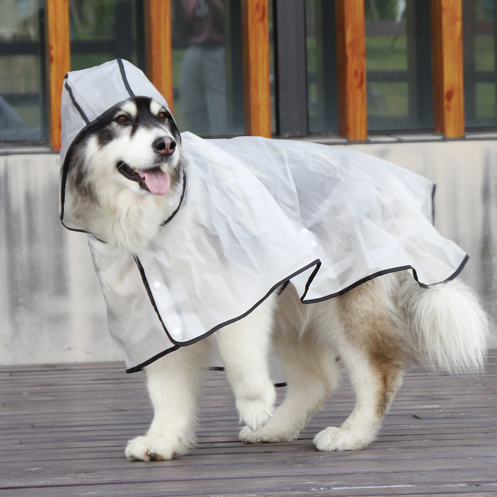 Transparent Dog Raincoat for medium Large Dog Golden Retriever Big Dog Rain Coat Waterproof Poncho Pet Clothes: XL